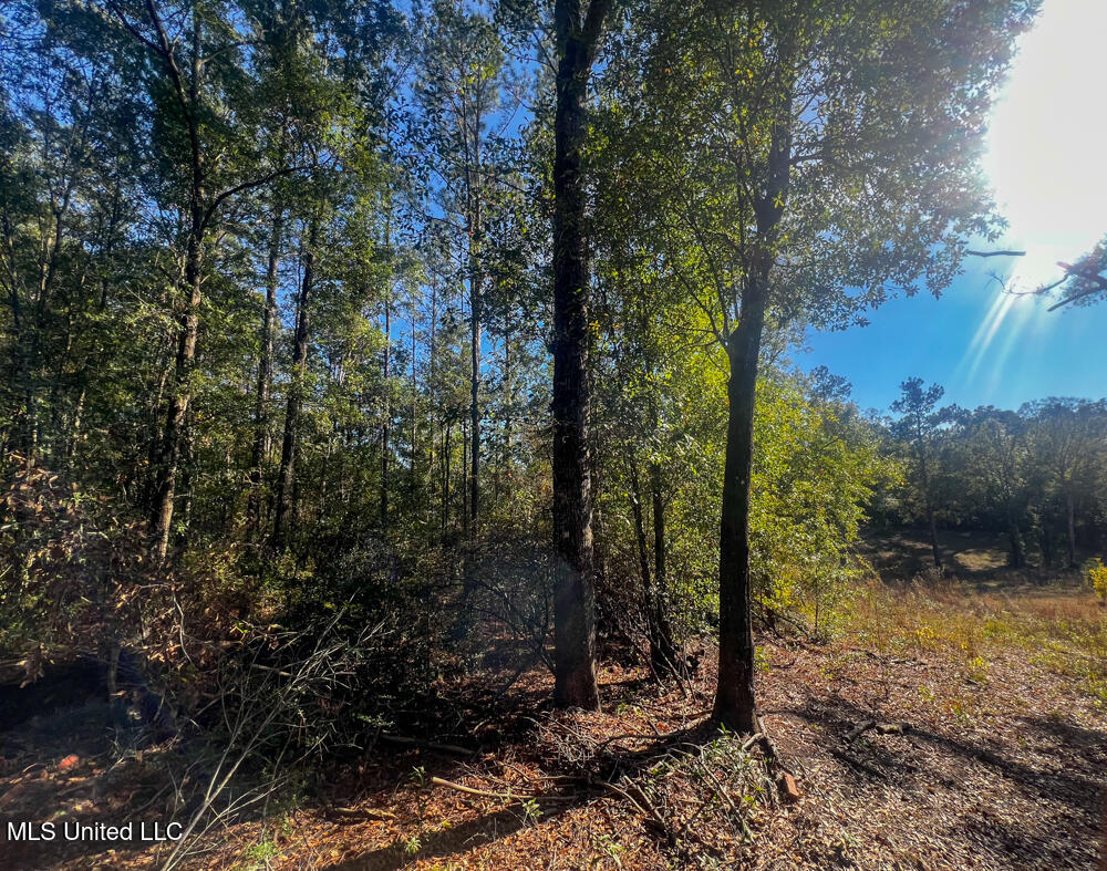 E Highway 198 Property Photo 17