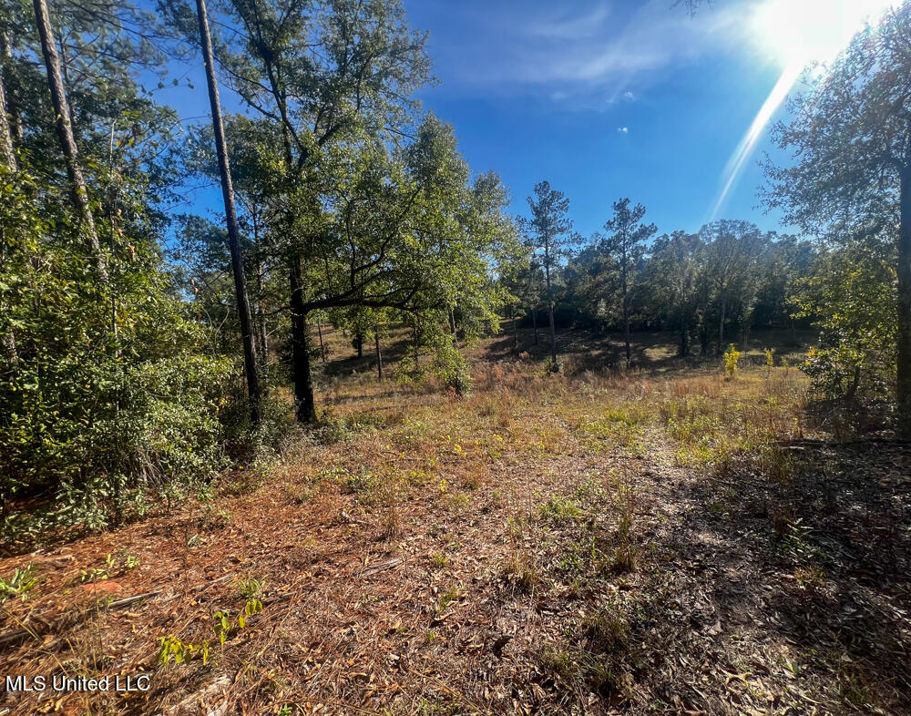 E Highway 198 Property Photo 18