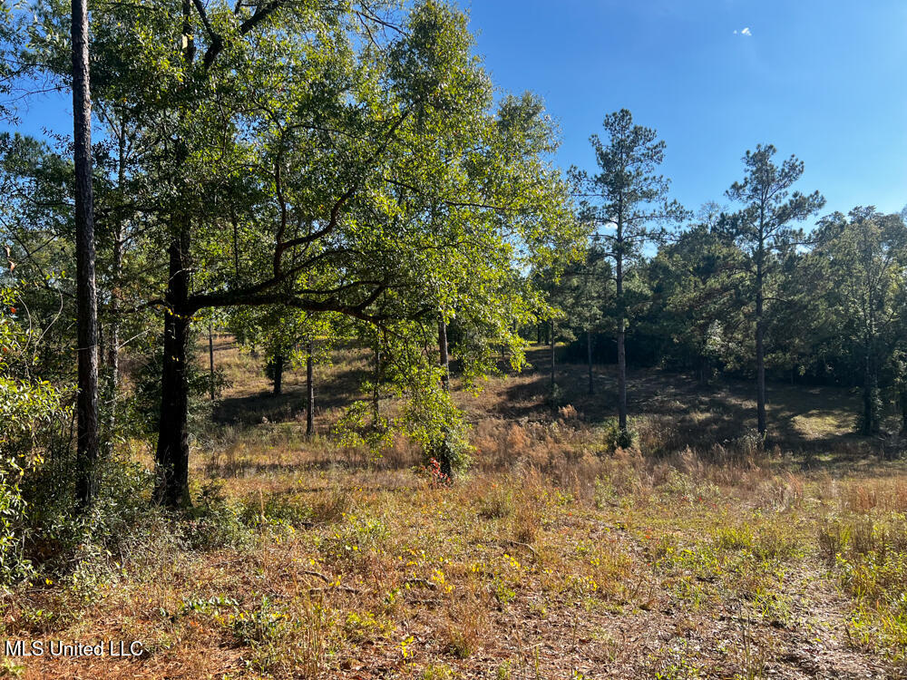 E Highway 198 Property Photo 19