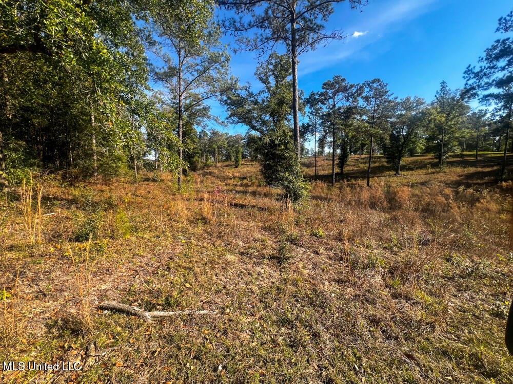 E Highway 198 Property Photo 20