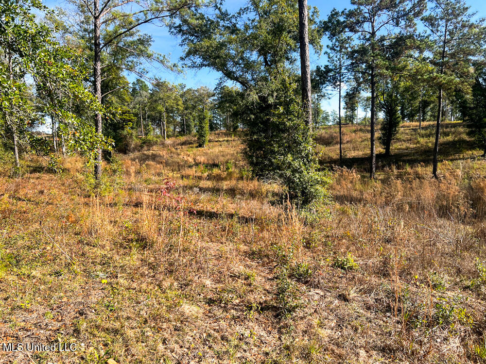 E Highway 198 Property Photo 21