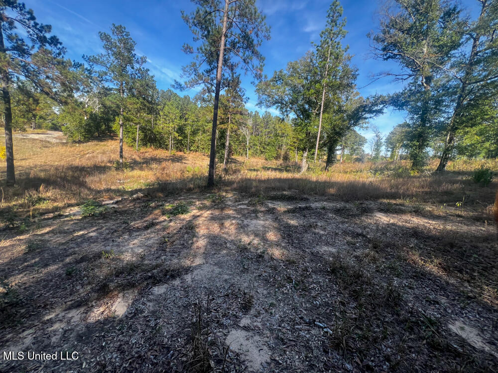 E Highway 198 Property Photo 22