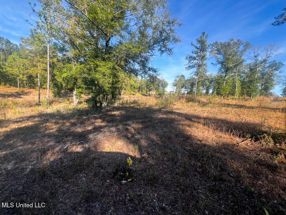 E Highway 198 Property Photo 23