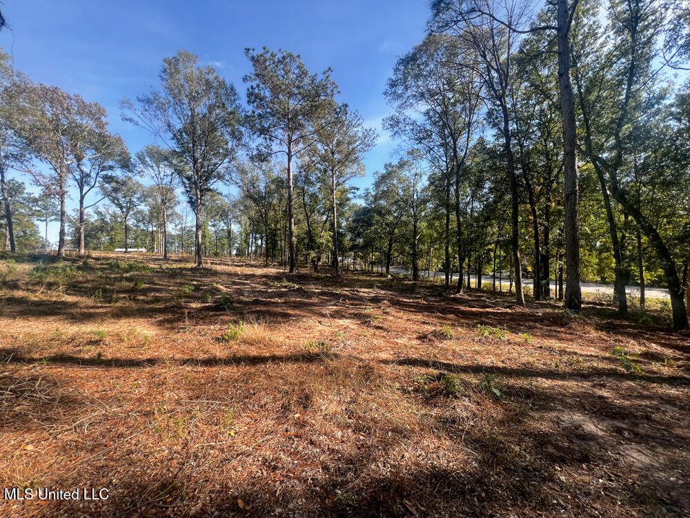 E Highway 198 Property Photo 24
