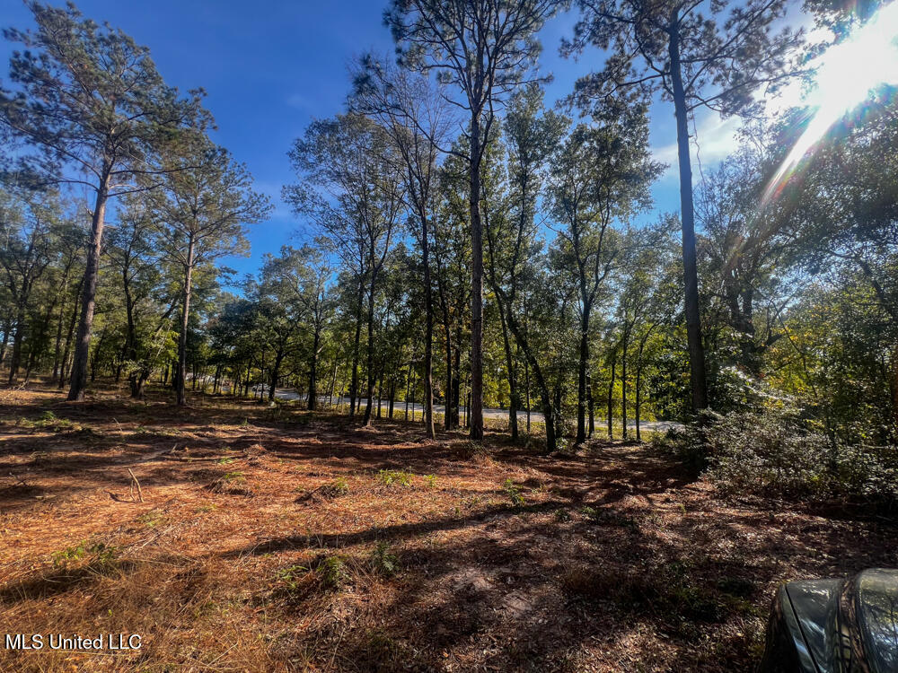 E Highway 198 Property Photo 25