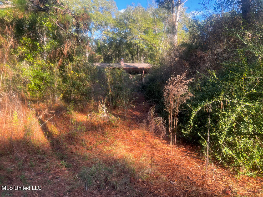 E Highway 198 Property Photo 28
