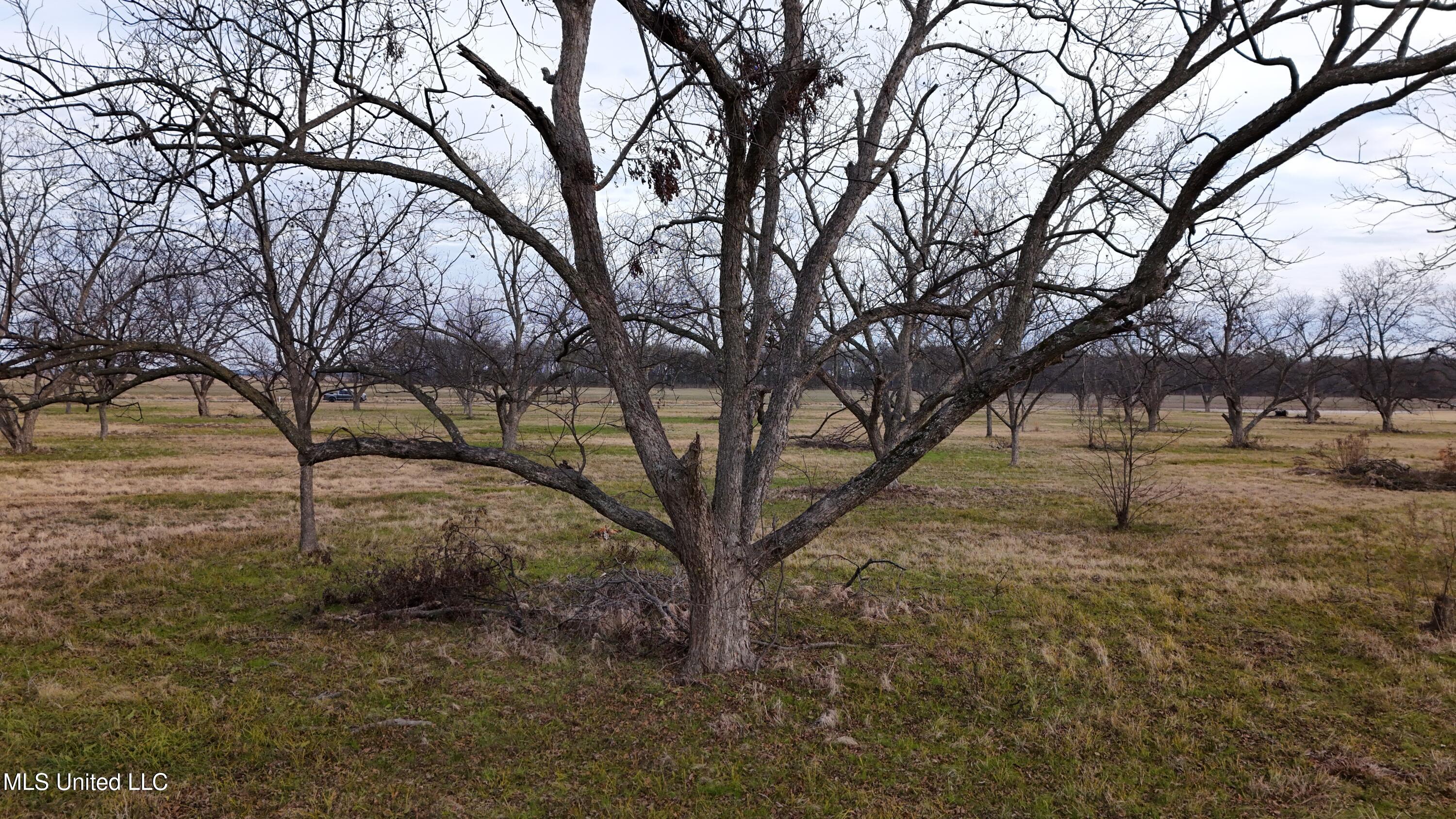 Interstate Road Property Photo 10