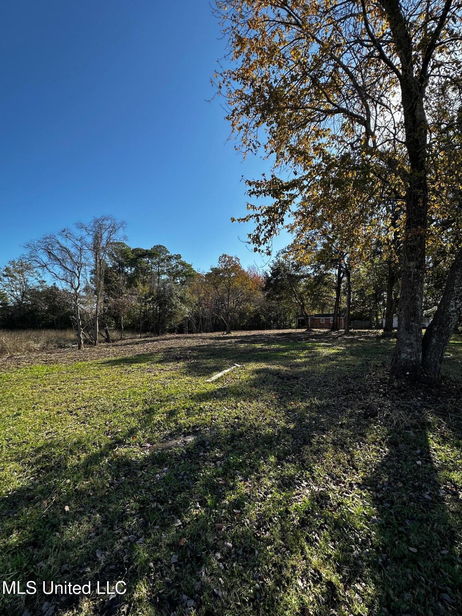 Milstead Road Property Photo 6