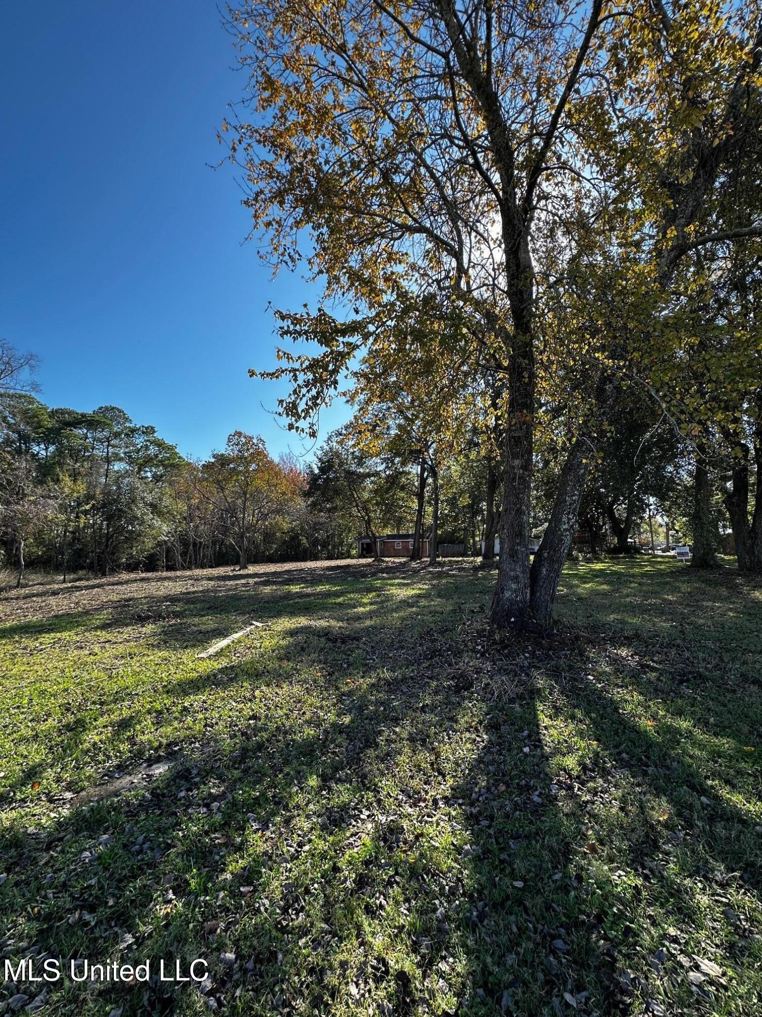 Milstead Road Property Photo 7