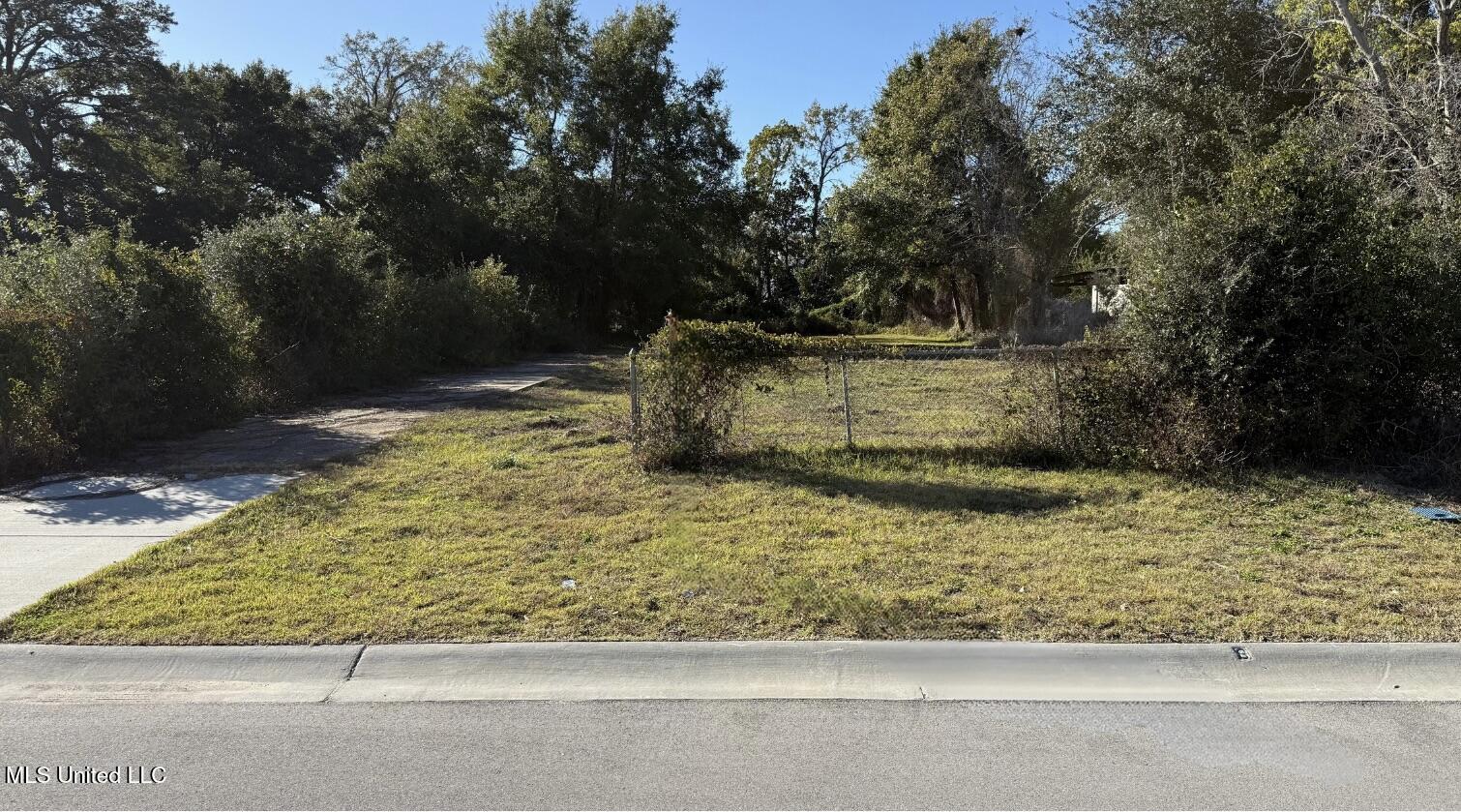 161 Pine Street Property Photo 1