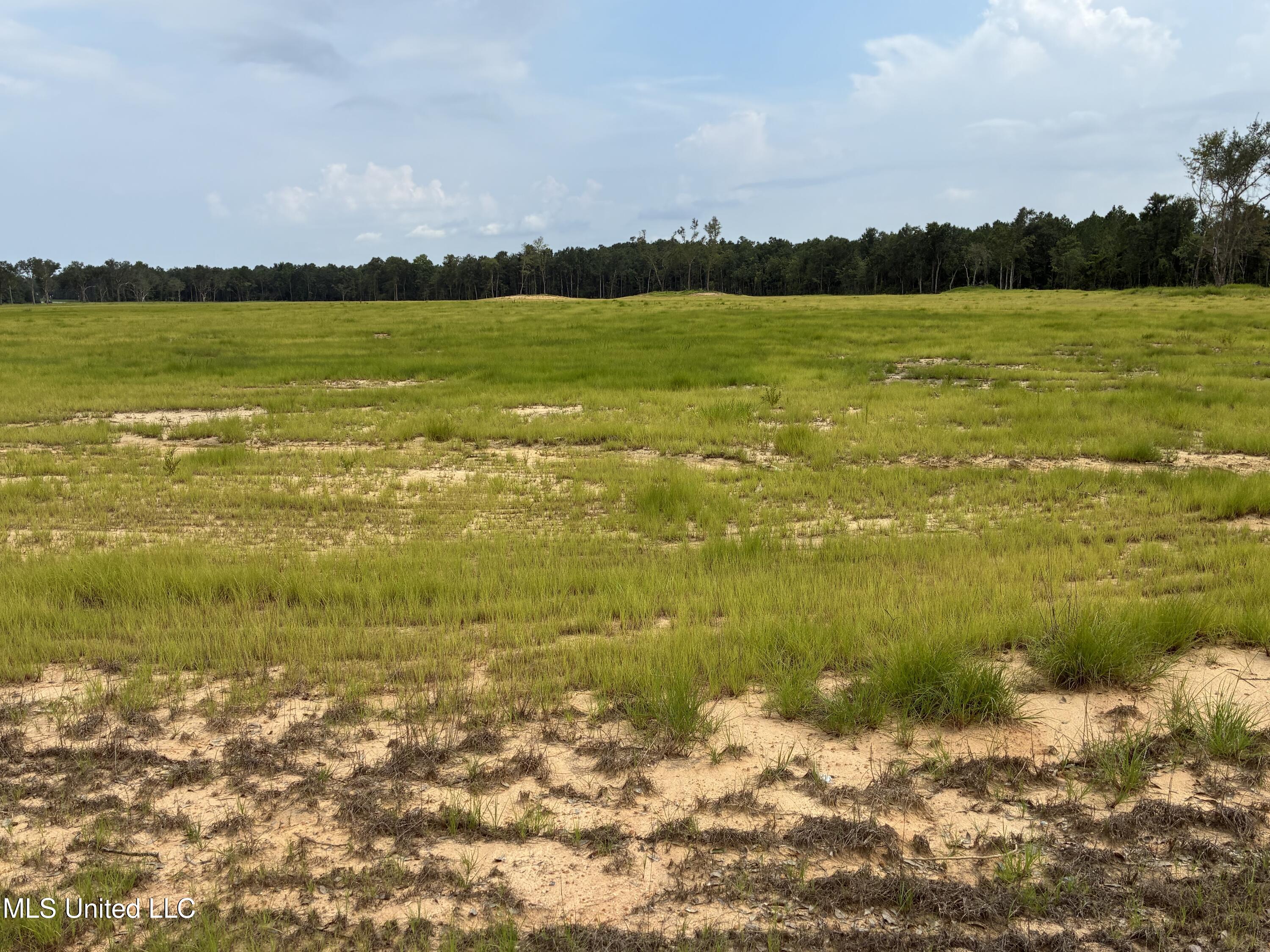 Lot 5 Hwy 43 Property Photo 2