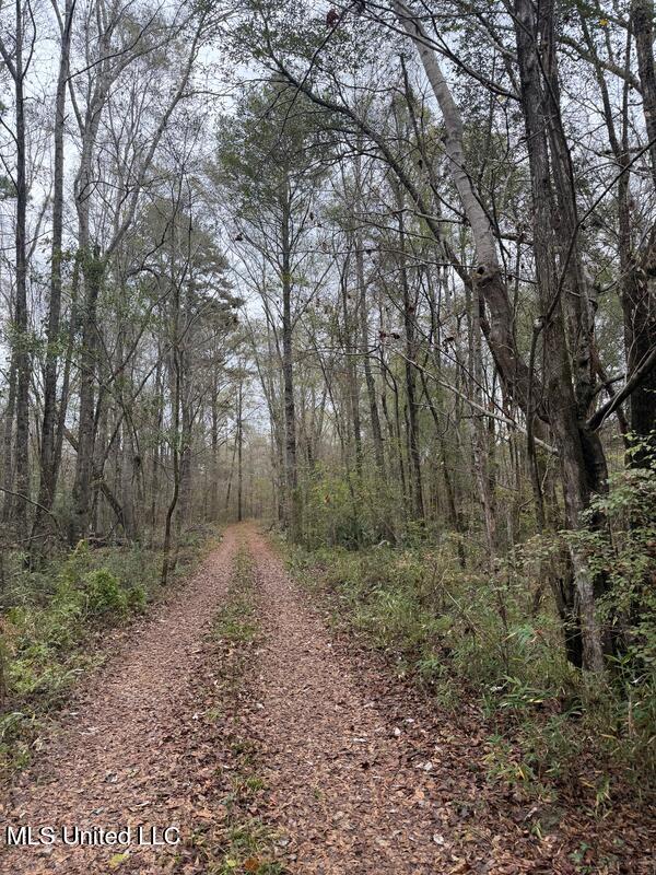 N Us-11 Highway Property Photo 2