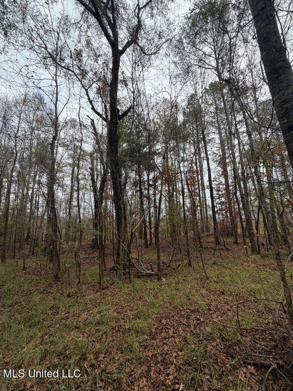 N Us-11 Highway Property Photo 3