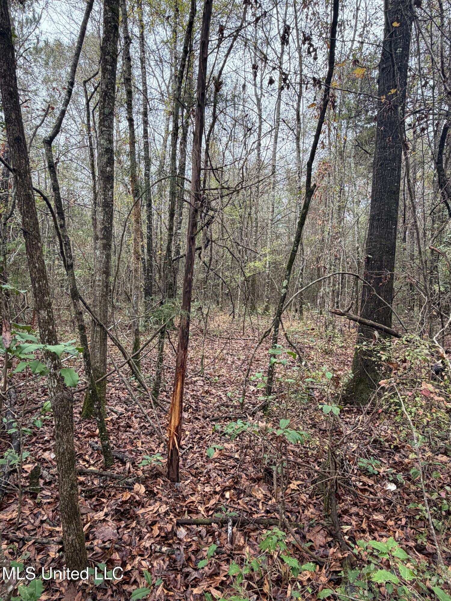 N Us-11 Highway Property Photo 4