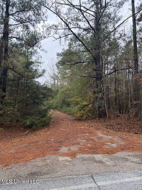 N Us-11 Highway Property Photo 7