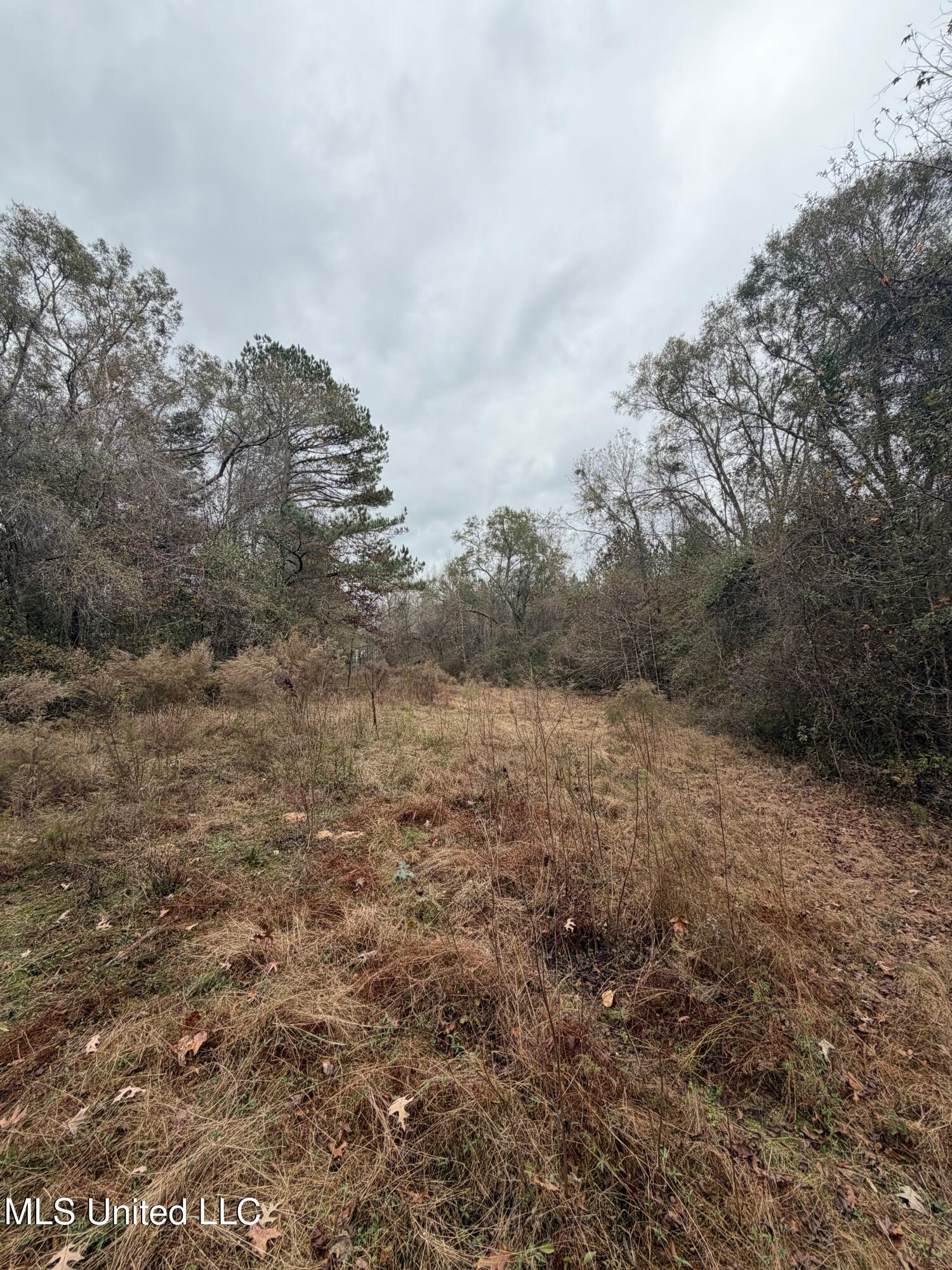 N Us-11 Highway Property Photo 8
