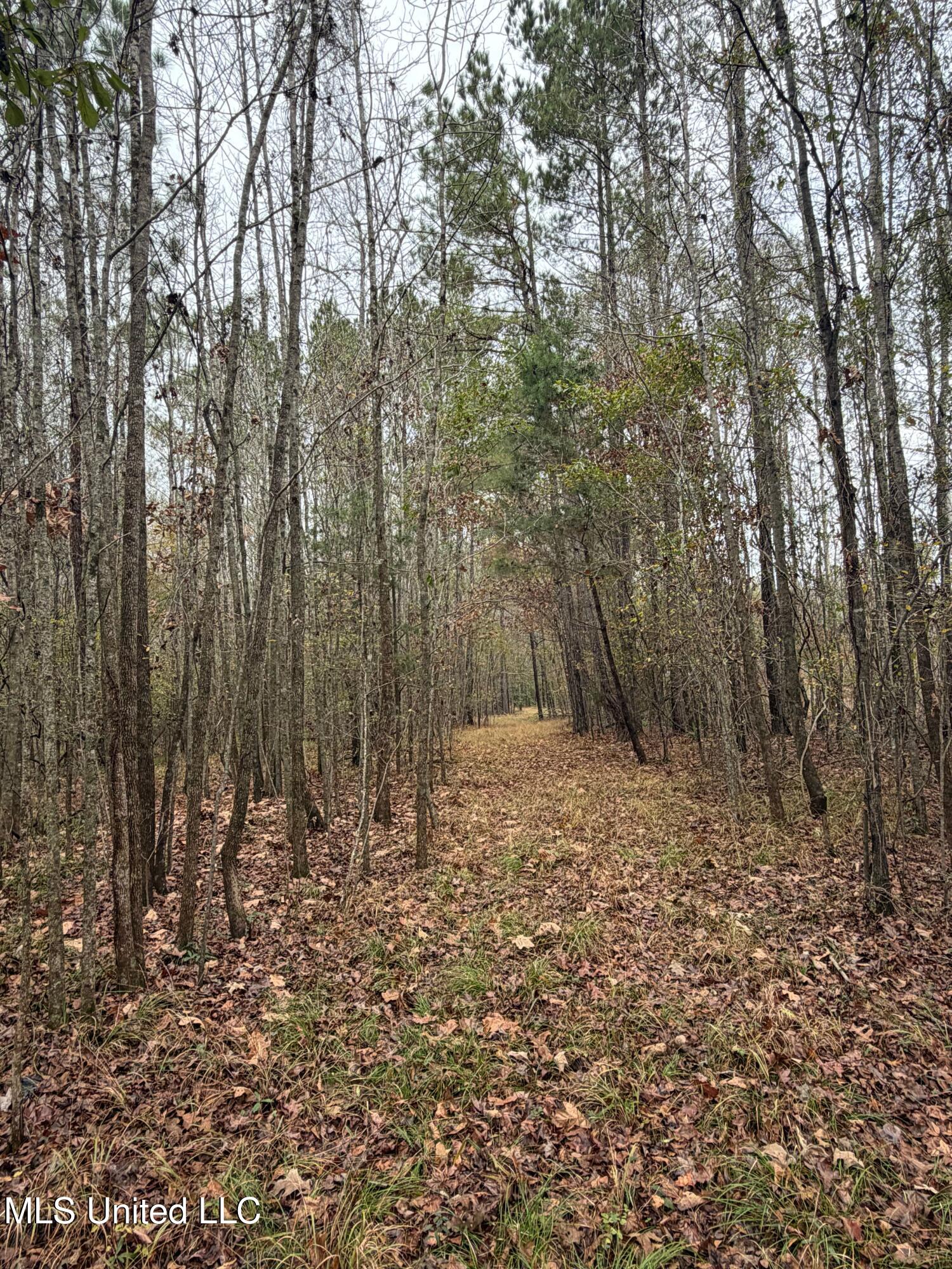 N Us-11 Highway Property Photo 9