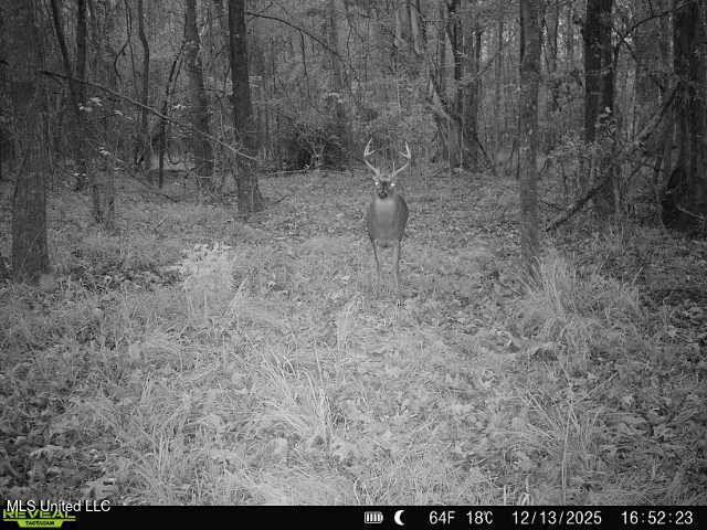 N Us-11 Highway Property Photo 10