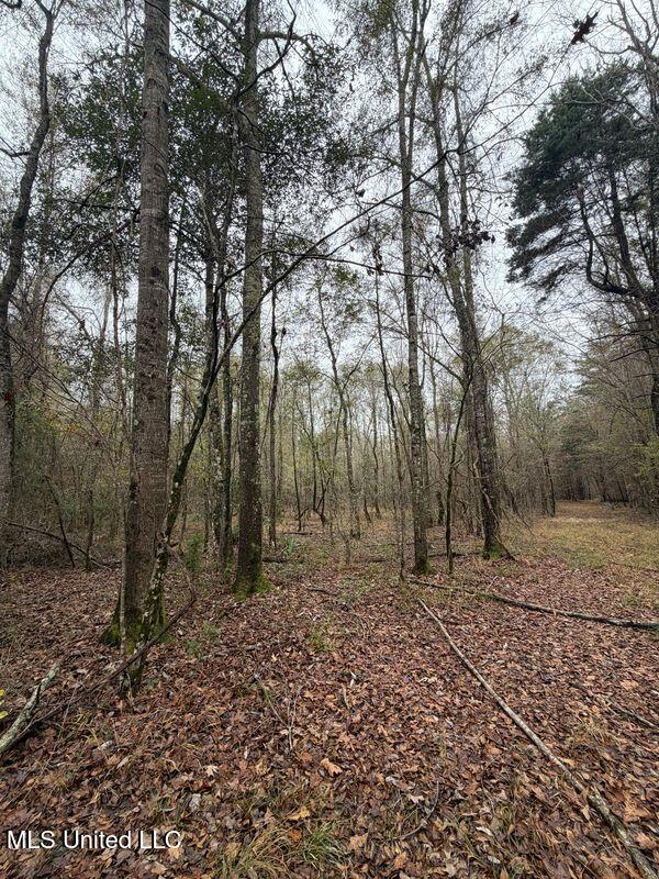 N Us-11 Highway Property Photo 11