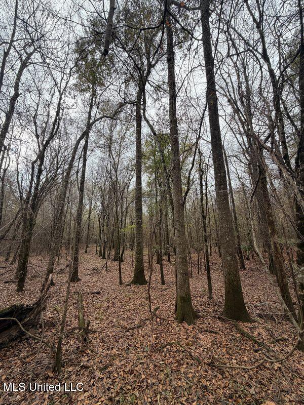 N Us-11 Highway Property Photo 14