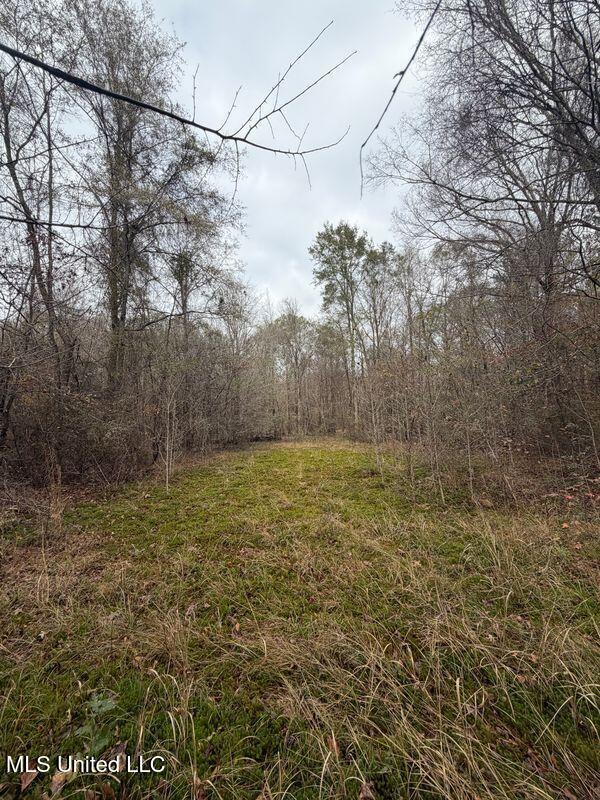 N Us-11 Highway Property Photo 15
