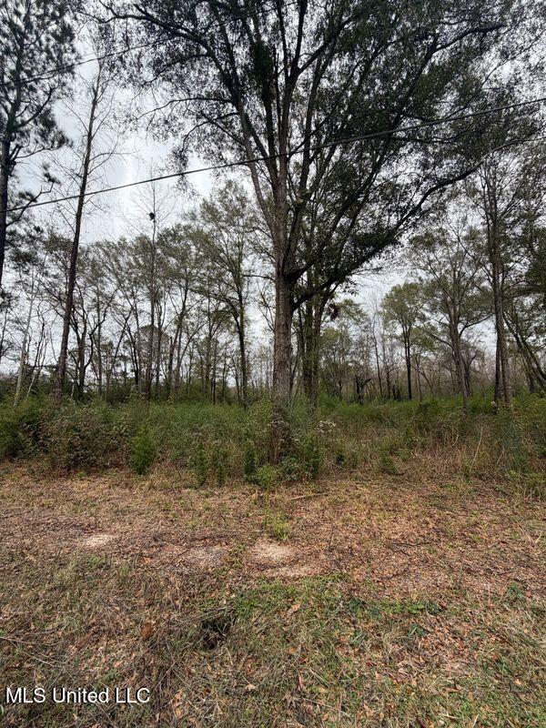 N Us-11 Highway Property Photo 16