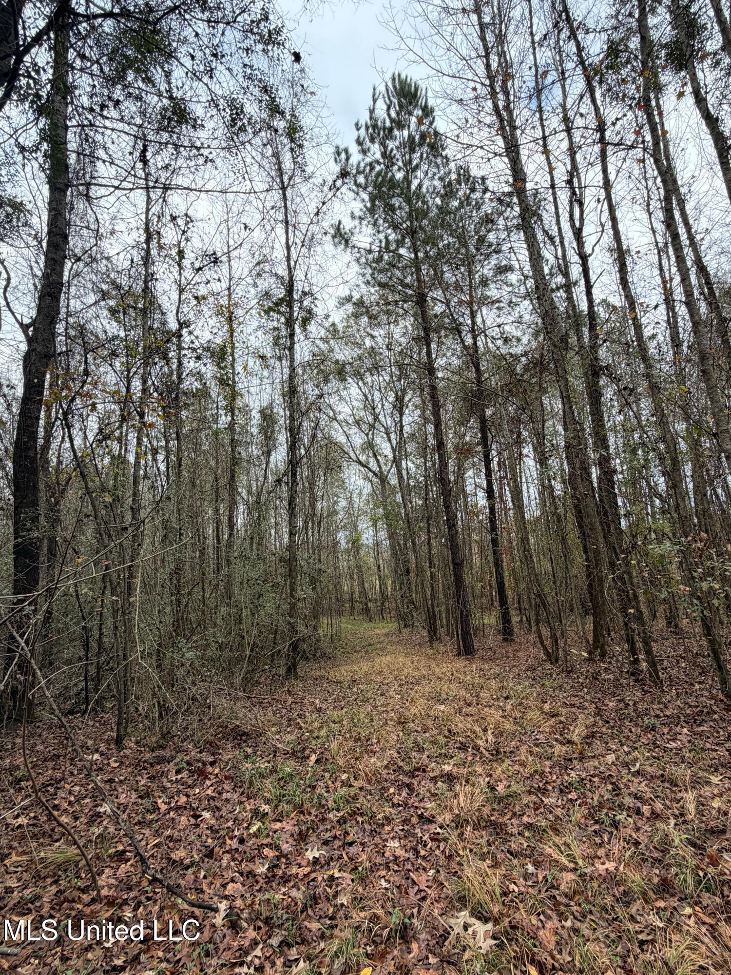 N Us-11 Highway Property Photo 17