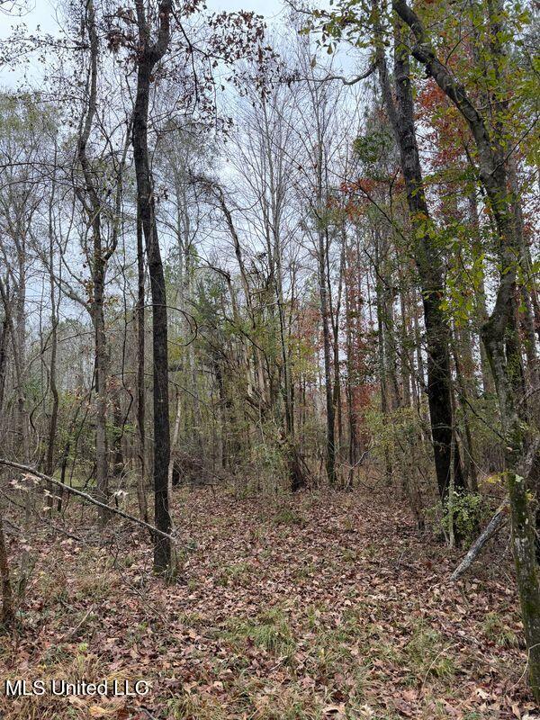 N Us-11 Highway Property Photo 18