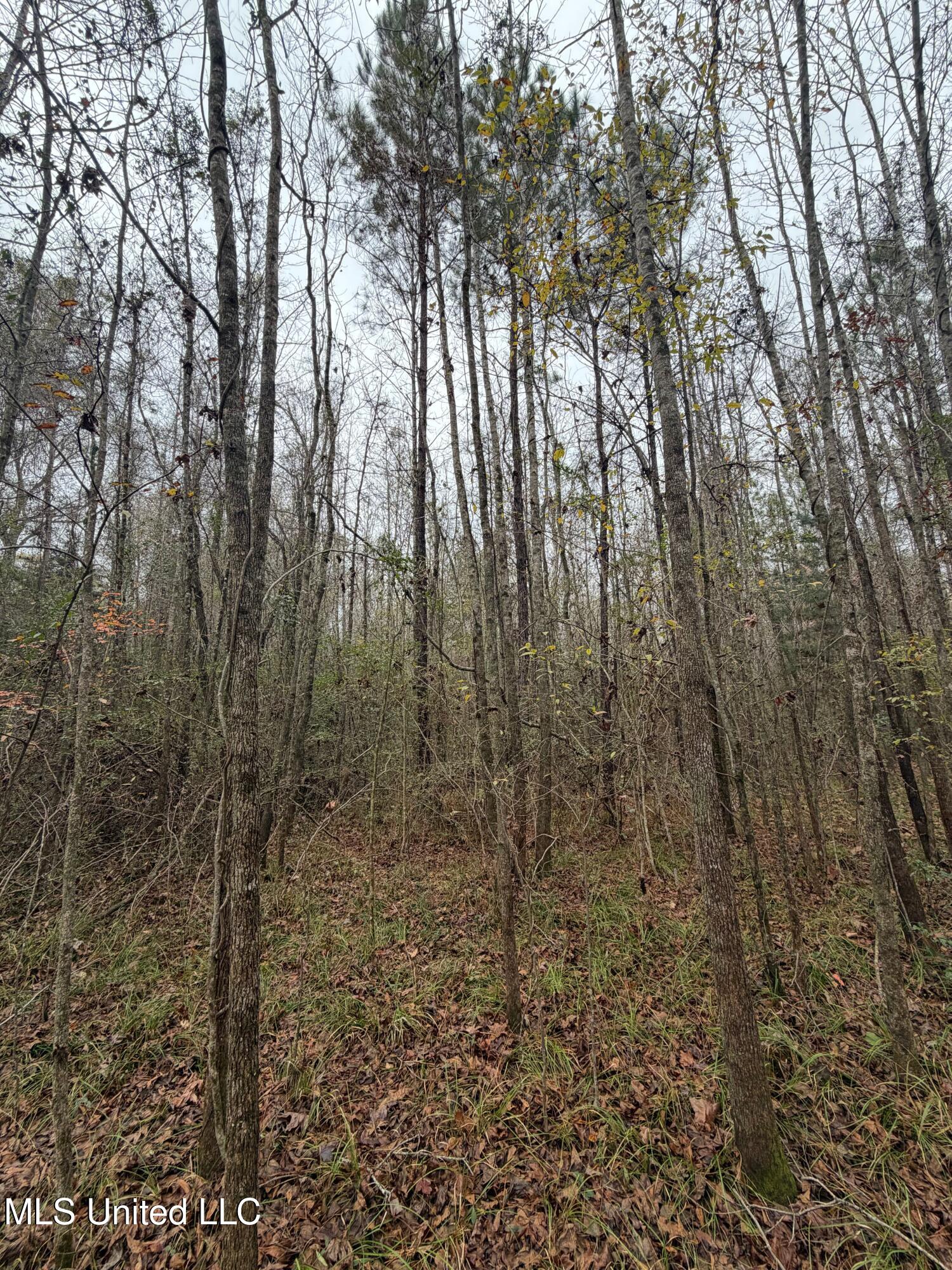N Us-11 Highway Property Photo 19