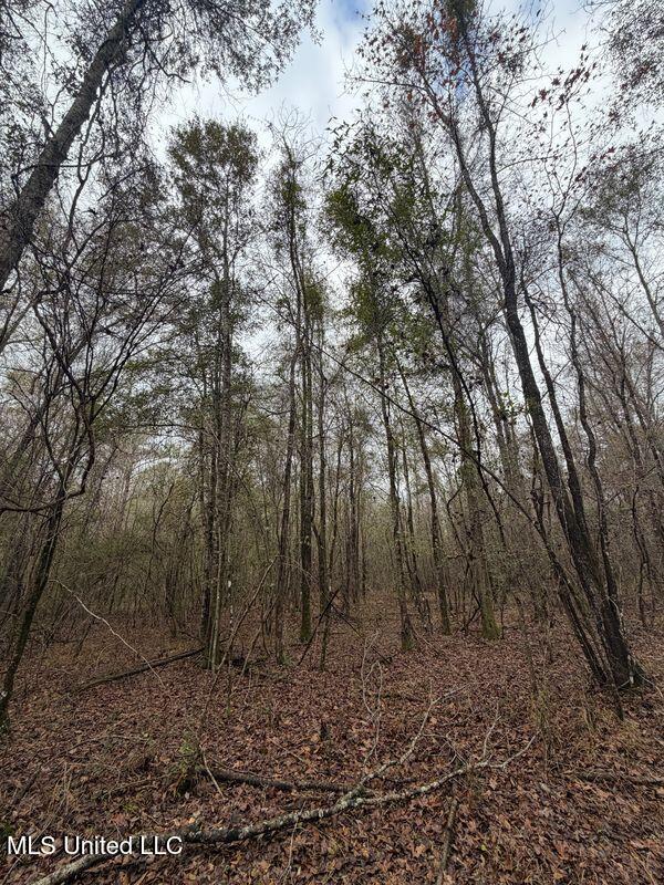 N Us-11 Highway Property Photo 20
