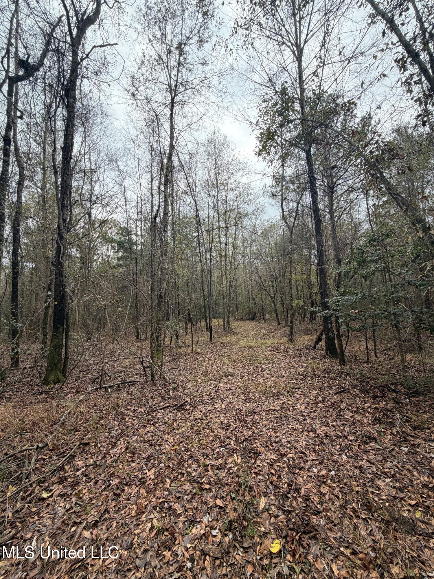 N Us-11 Highway Property Photo 21