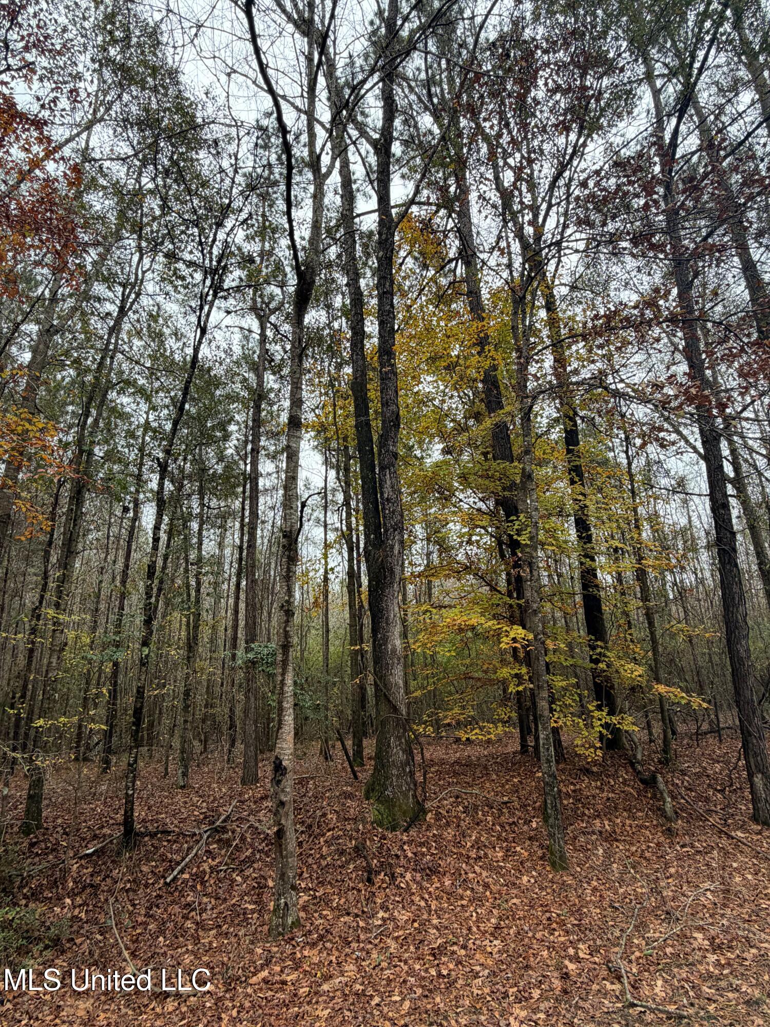 N Us-11 Highway Property Photo 22
