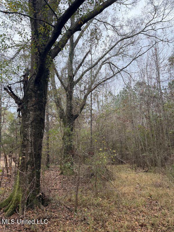 N Us-11 Highway Property Photo 23