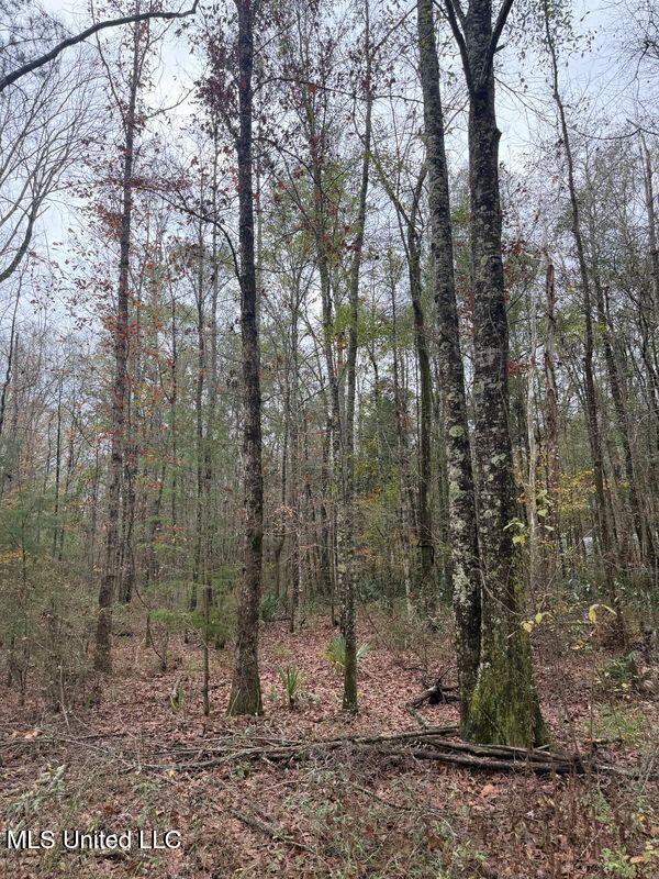 N Us-11 Highway Property Photo 24