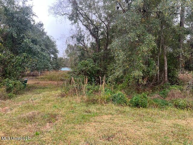 0 Old Spanish Trail Property Photo 1