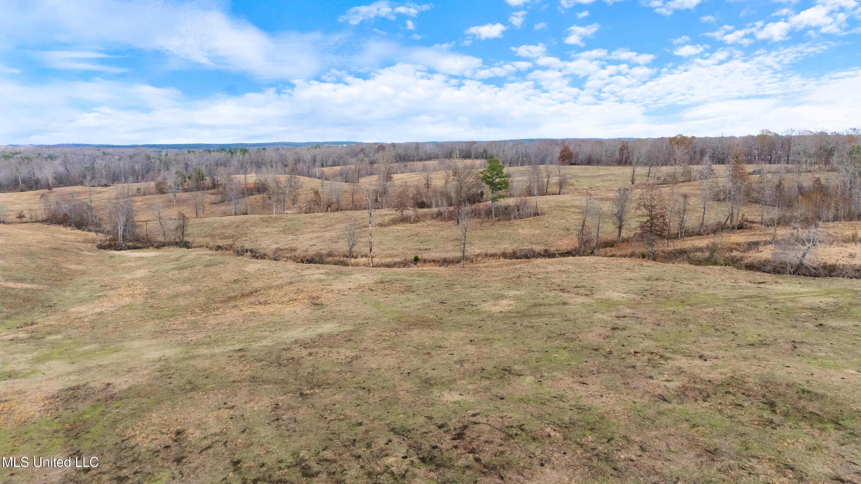 532 Quailwood Road Property Photo 73