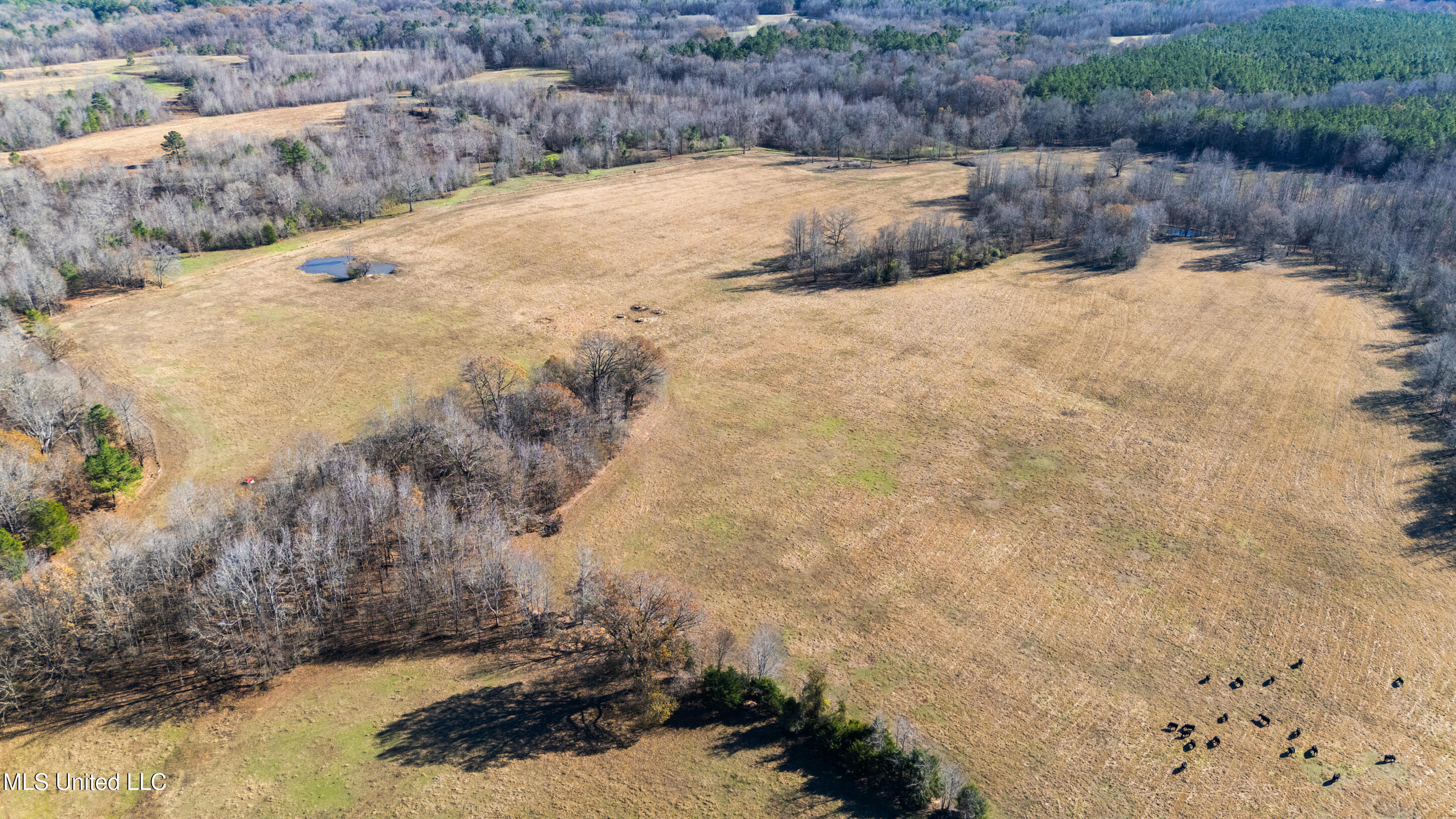 532 Quailwood Road Property Photo 89