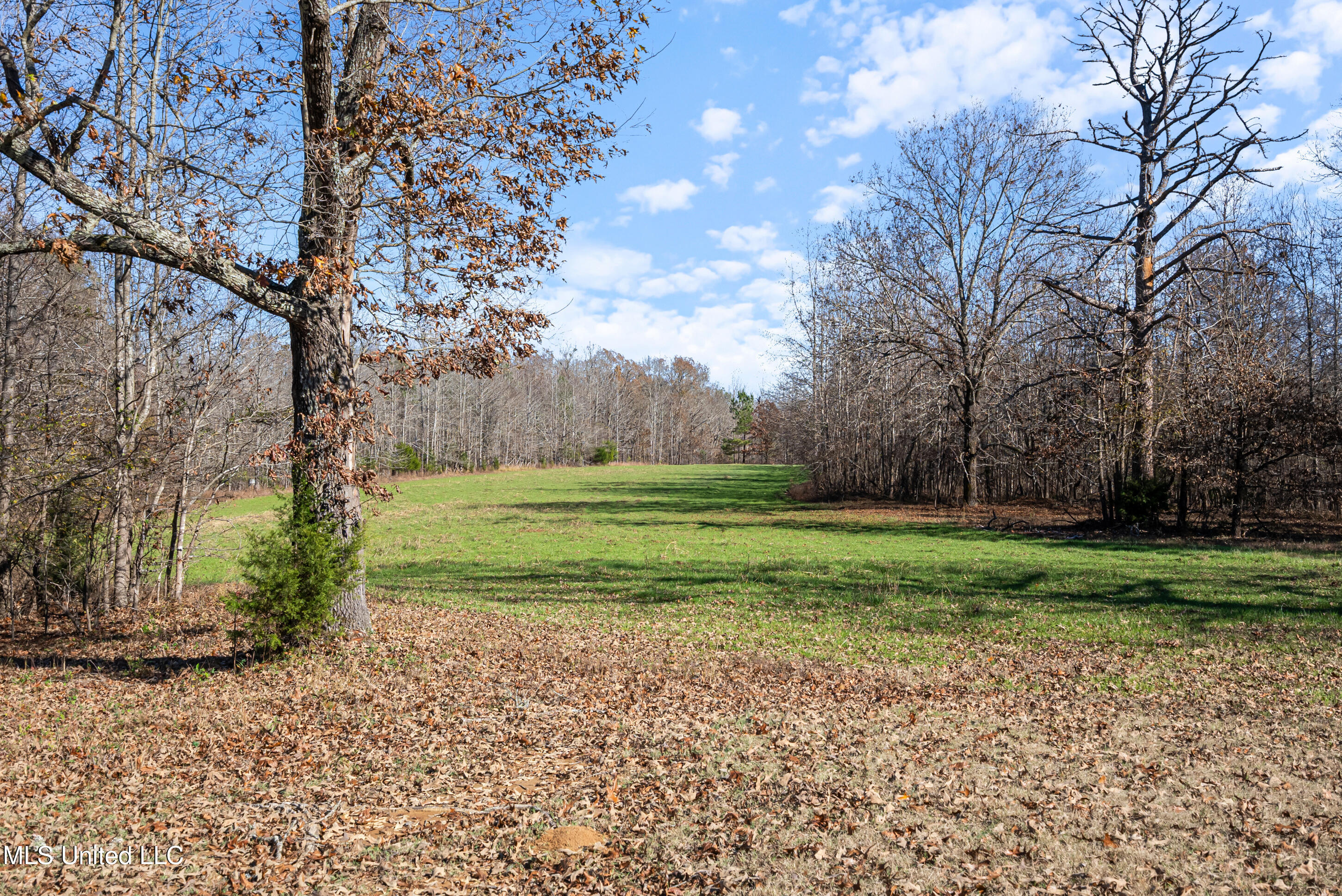 532 Quailwood Road Property Photo 104