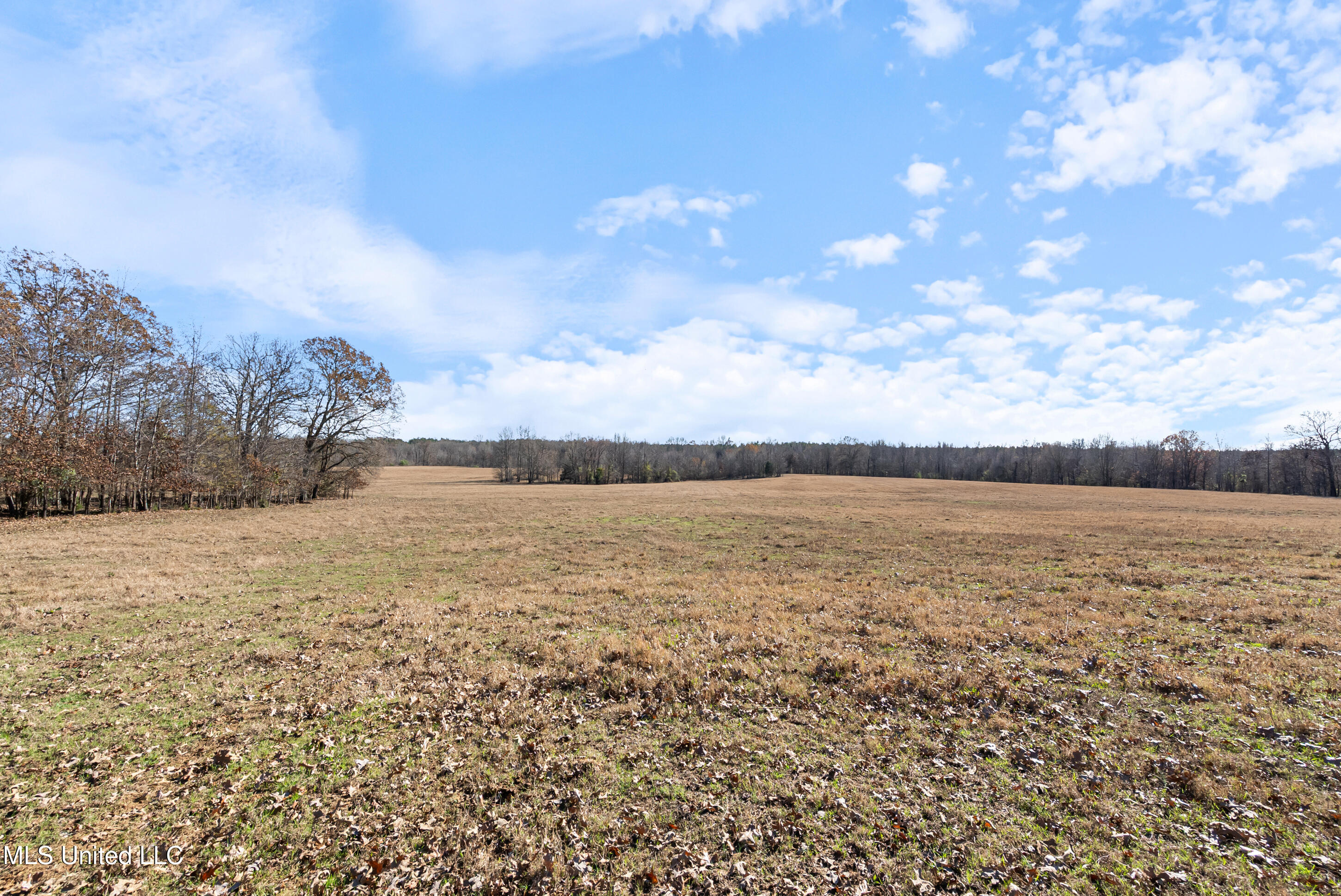 532 Quailwood Road Property Photo 107