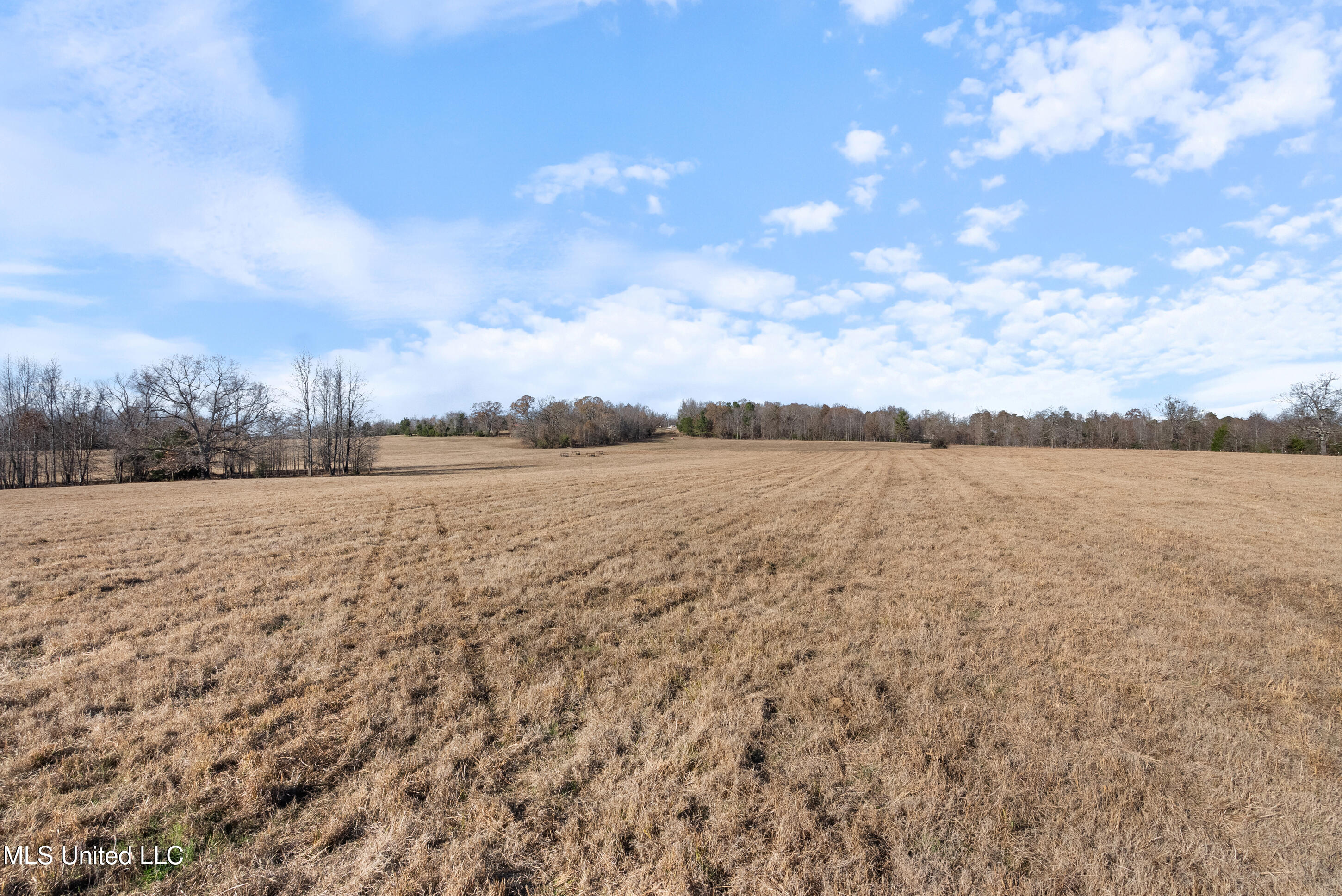 532 Quailwood Road Property Photo 108