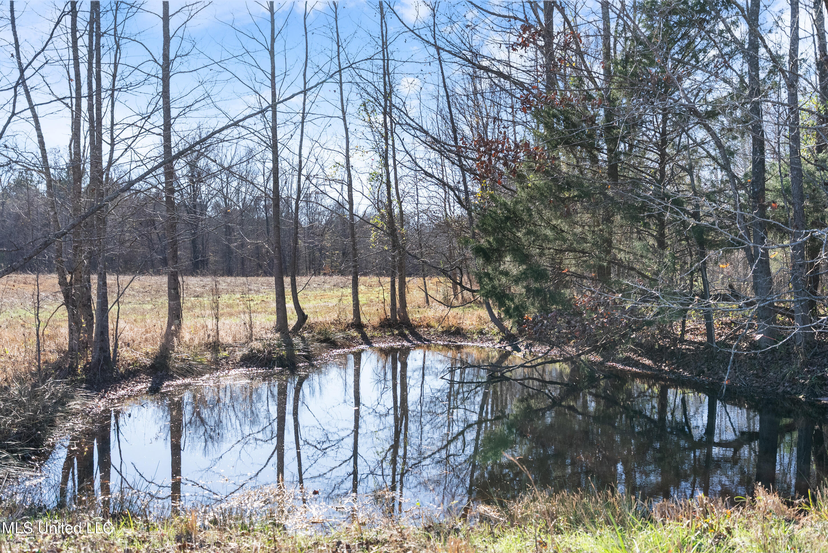 532 Quailwood Road Property Photo 110