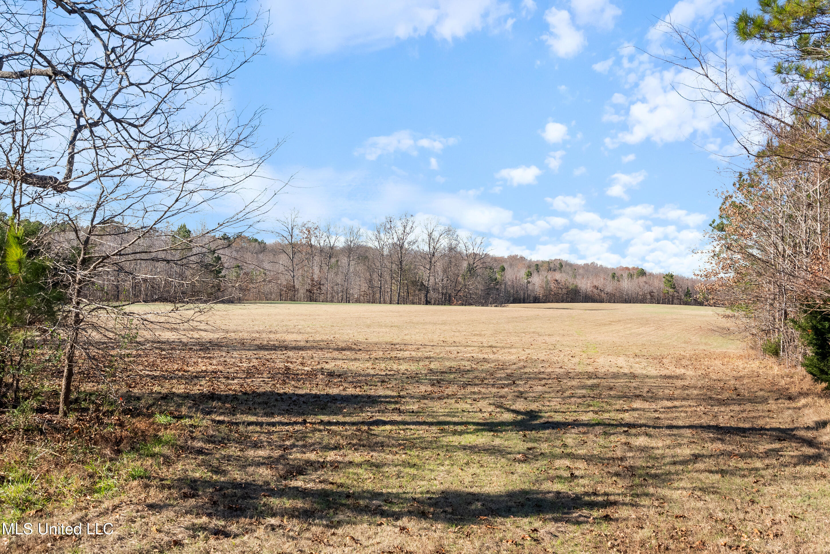 532 Quailwood Road Property Photo 112