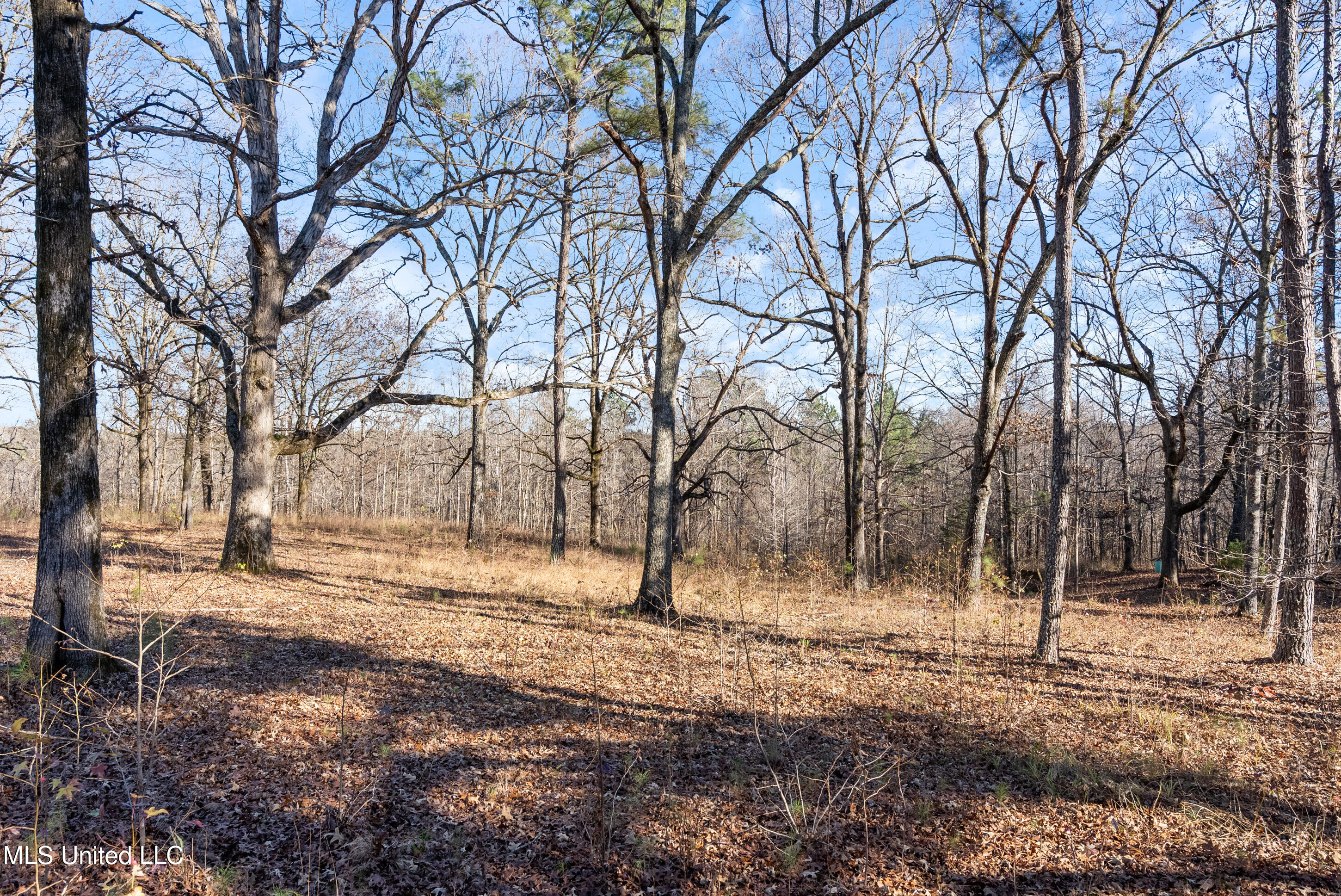 532 Quailwood Road Property Photo 113
