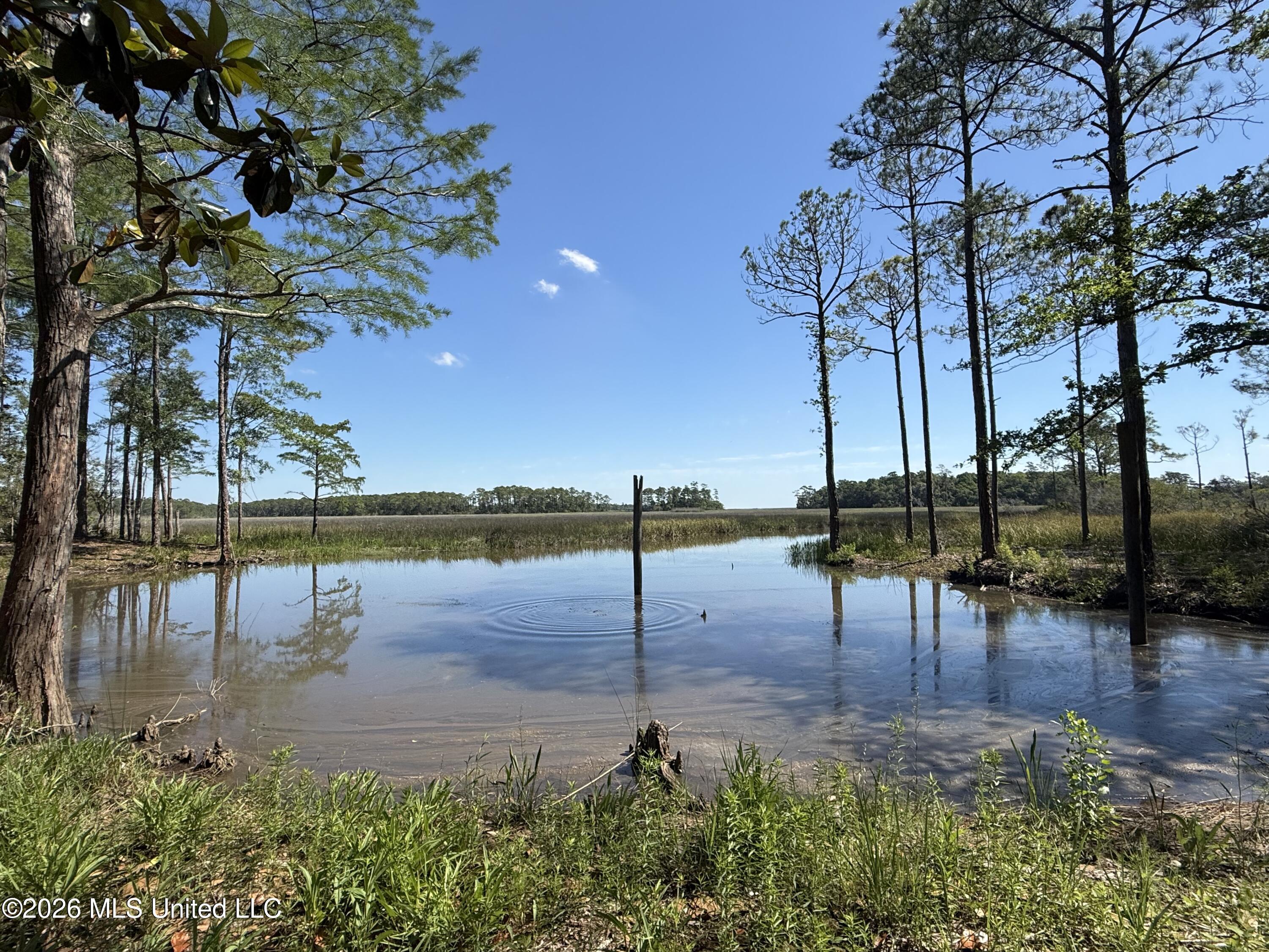 1208 De La Pointe Drive Property Photo 1