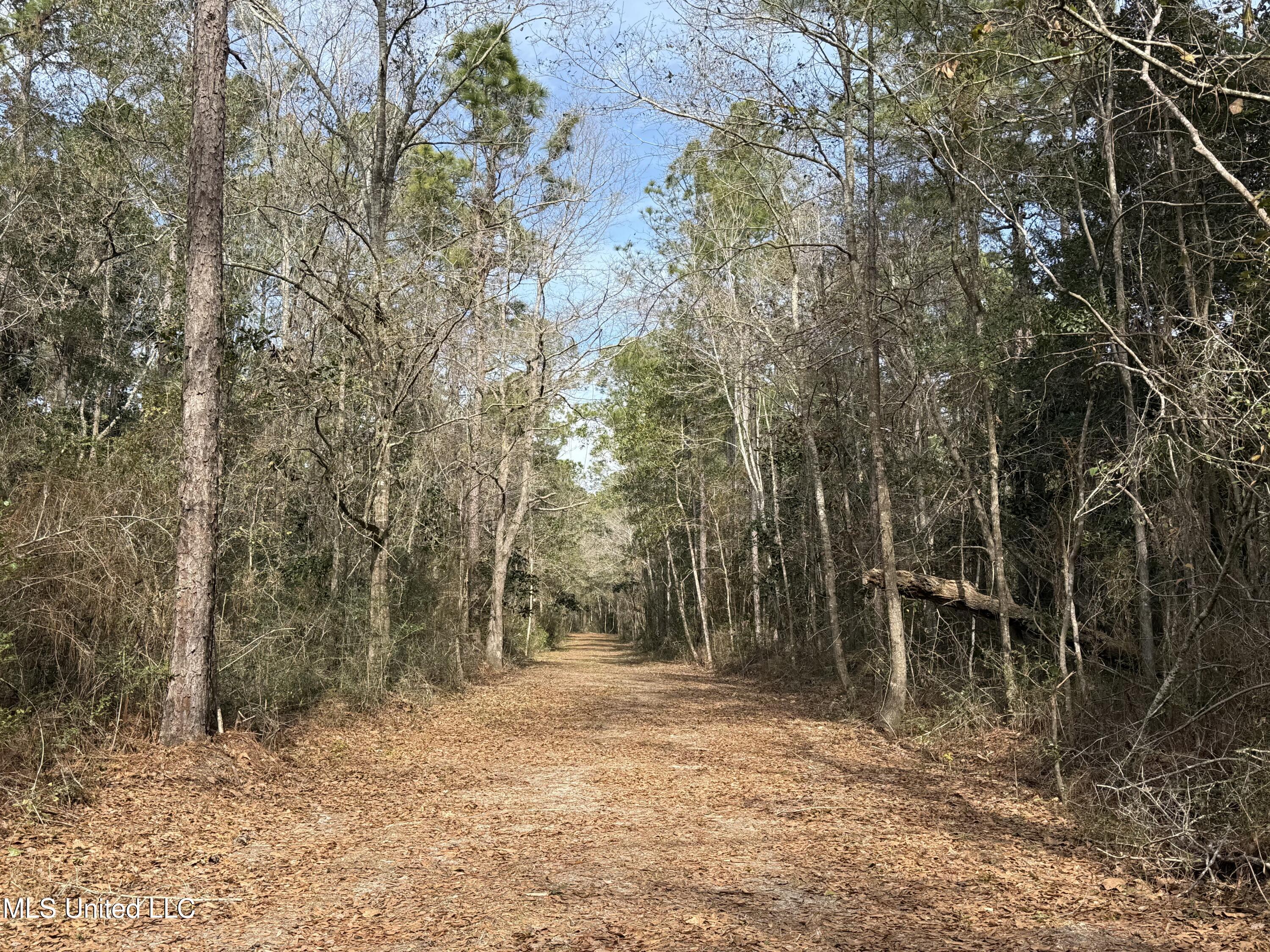 1208 De La Pointe Drive Property Photo 3