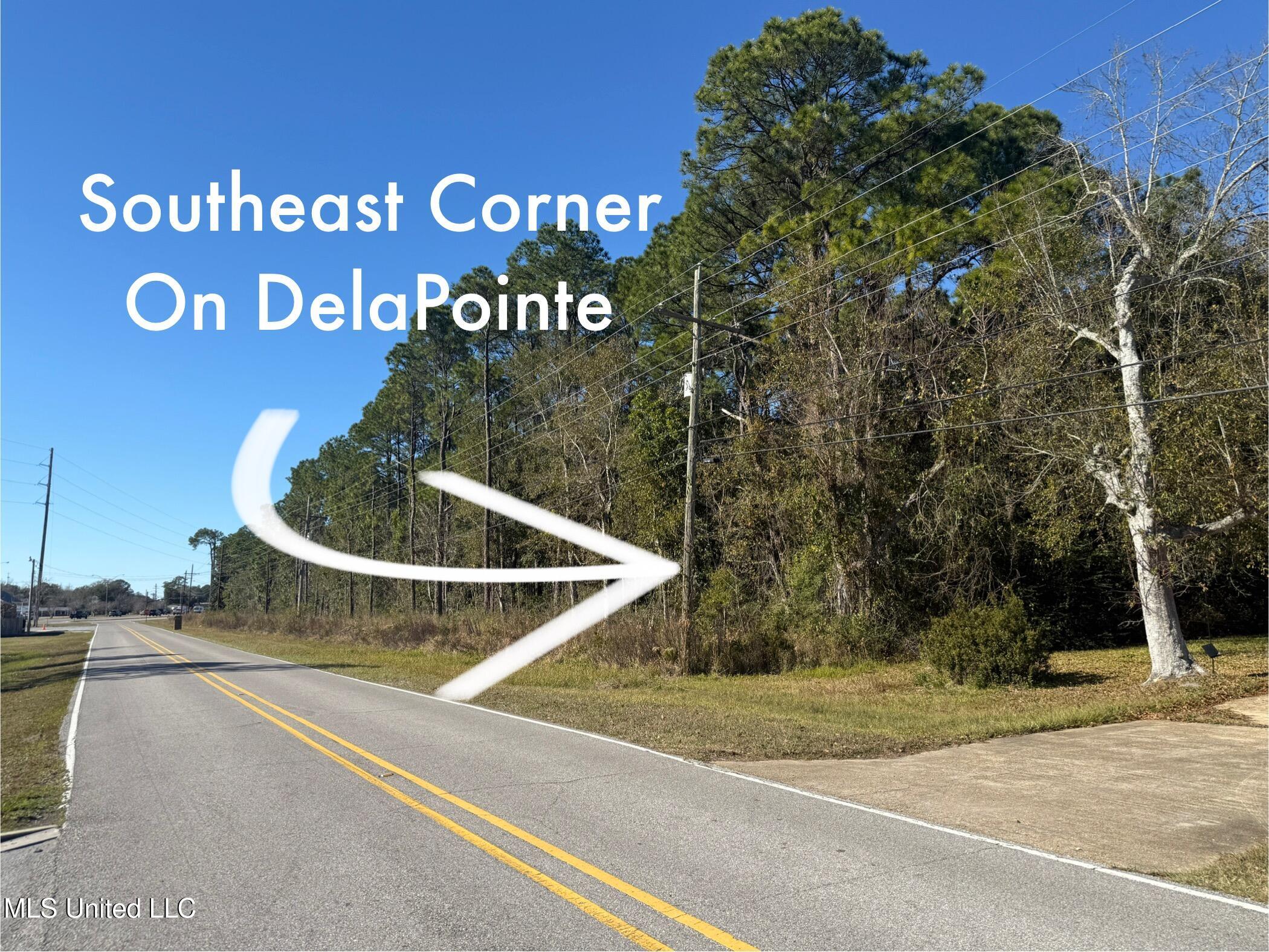 1208 De La Pointe Drive Property Photo 13