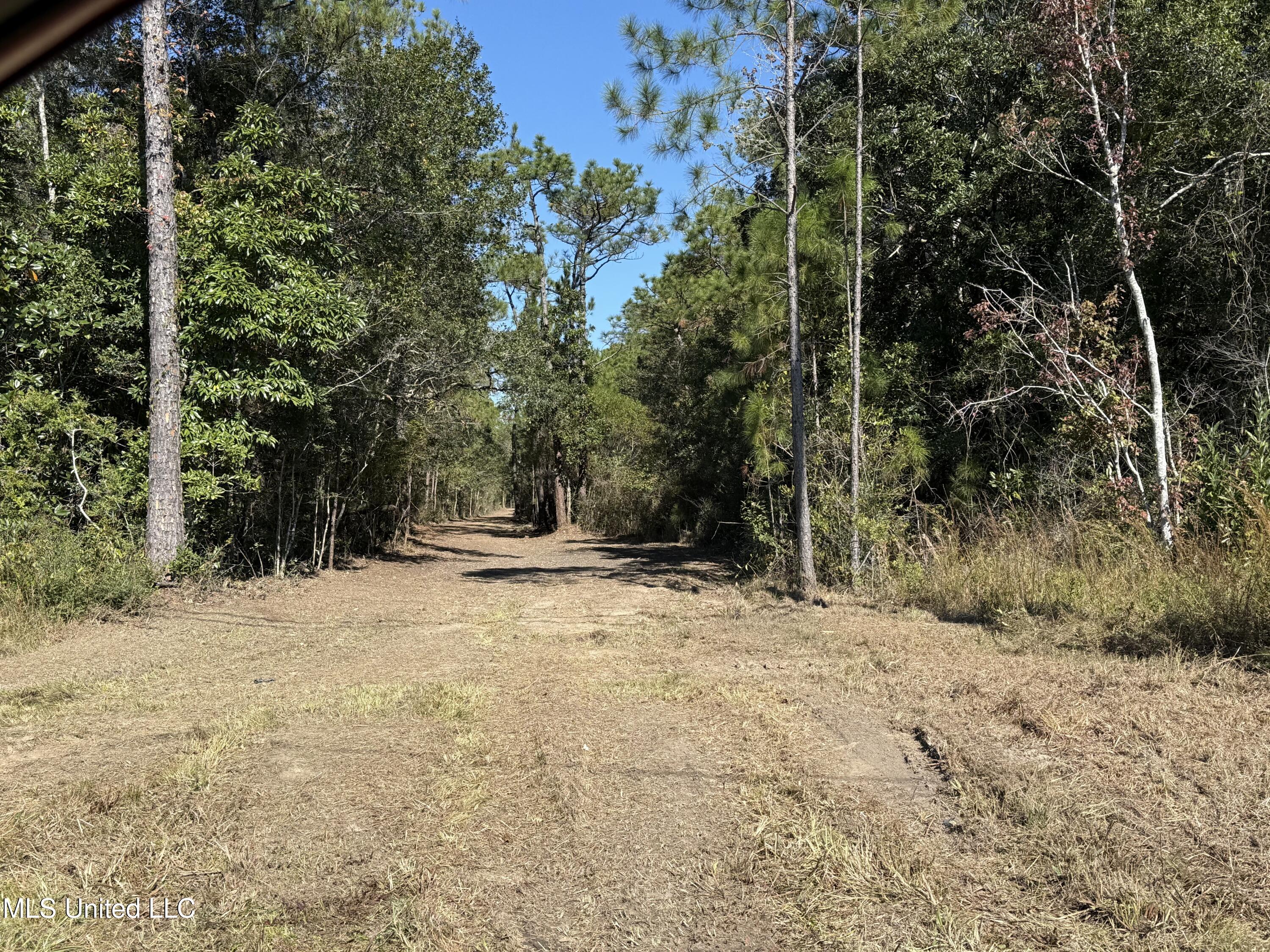 1208 De La Pointe Drive Property Photo 19