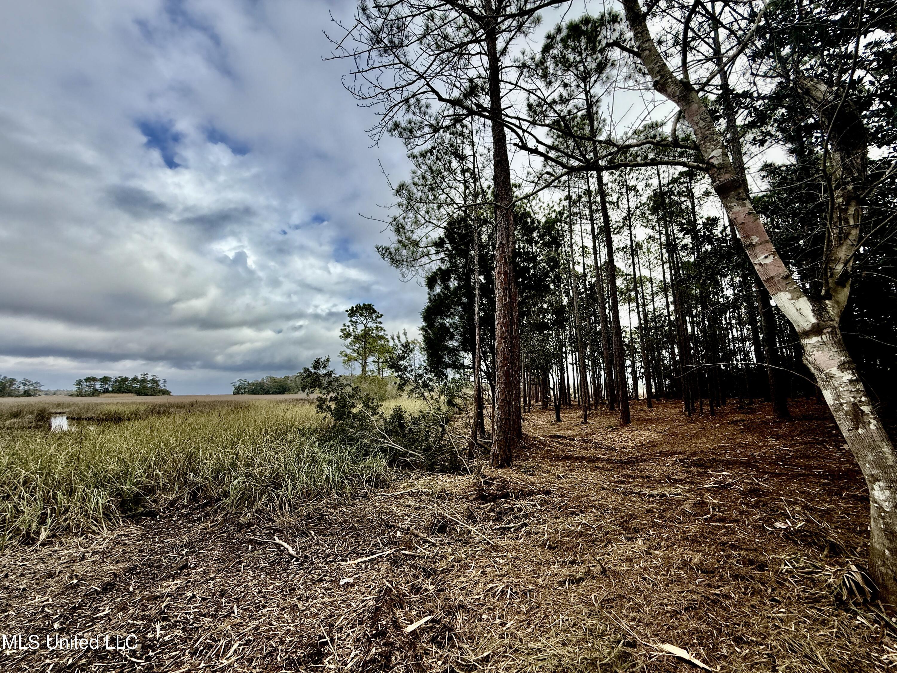 1208 De La Pointe Drive Property Photo 36