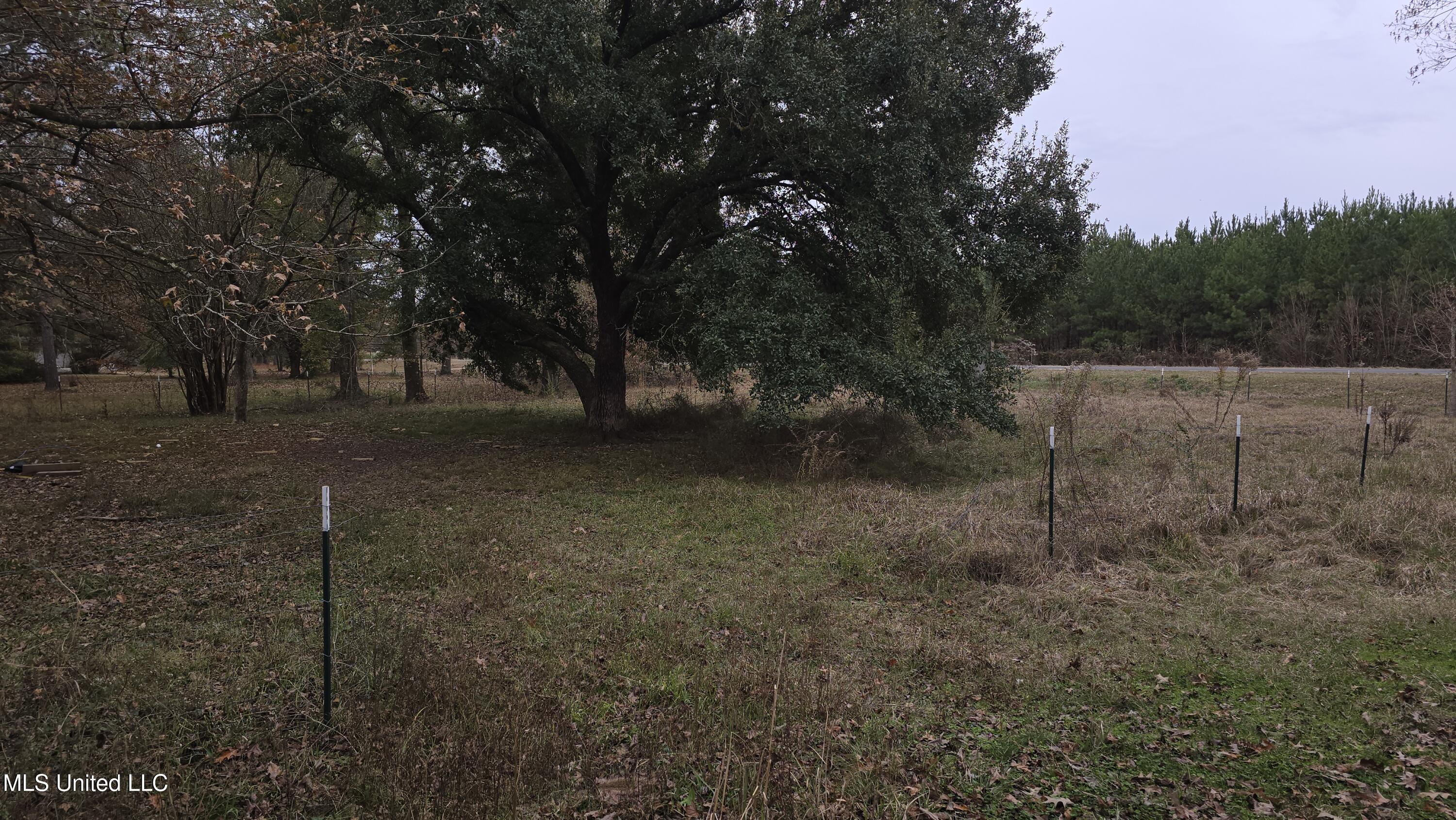 6427 Highway 33 Property Photo 16