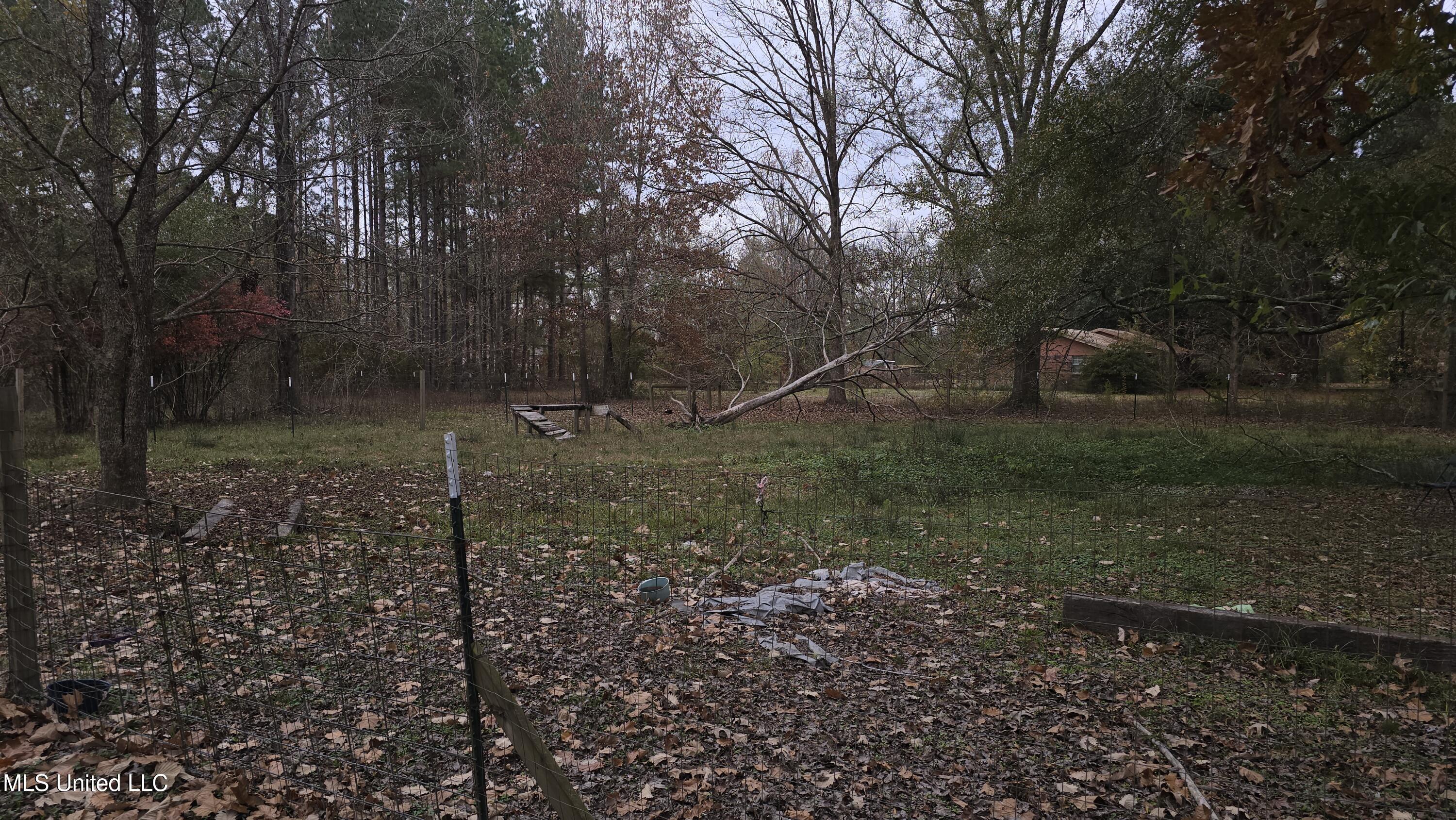 6427 Highway 33 Property Photo 18